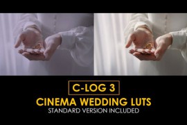 C-Log3 Cinema Wedding and Standard LUTs 51279518
