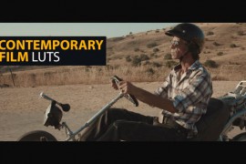 Contemporary Film LUTs 50130395