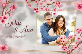 Wedding Invitation 48420231