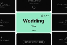 Wedding Titles for Premiere Pro Vol. 18 49053494