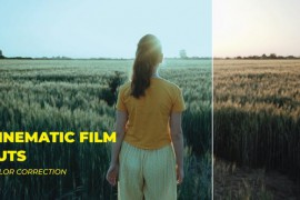 LUTs Cinematic Film 43308814