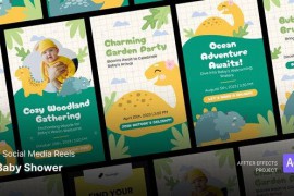 Social Media Reels - Baby Shower After Effects Template 50070901