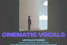 Montage by Splice Cinematic Vocals Untold Stories WAV-FANTASTiC