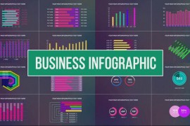 Business Infographic 32160033