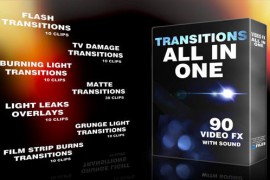 Transitions 10815849