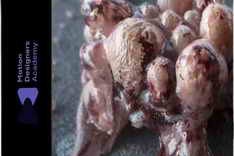 Motion Designers Academy – Mastering Houdini on a new level: The Symbiote Creature