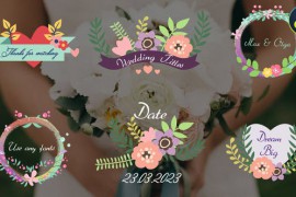 Wedding Romantic Titles for DaVinci Resolve 49203663