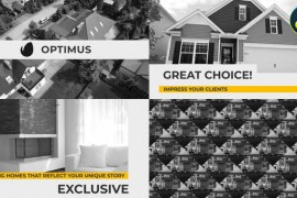 Optimus for DaVinci Resolve 48009598