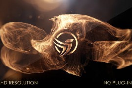 Golden Flow Logo Reveal 44101393