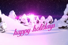 Christmas 13615773