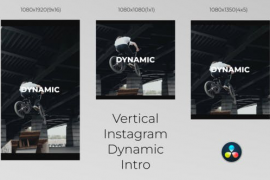 Vertical Instagram Dynamic Intro 51409498