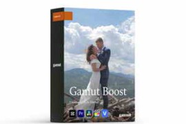 Gamut – Boost LUTs
