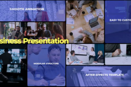 Business Presentation 45801420