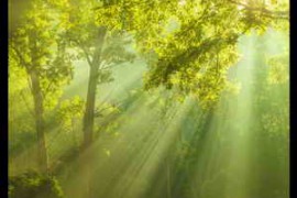 Soundholder Summer Ambients (incl. Update 1) WAV