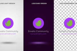Spiral Motion Logo Reveal - C Premiere Pro 52601393