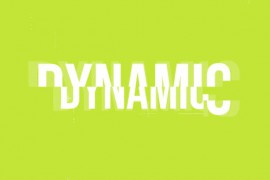 Dynamic Promo 45009041