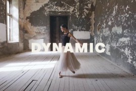 Dynamic Promo 44747641