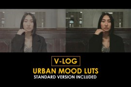 V-Log Urban Mood and Standard Color LUTs 51443770