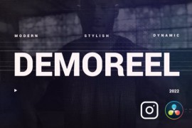 Dynamic Demo Reel 36236281