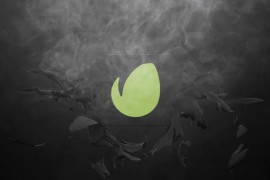 Dark Smoke Logo 31090025