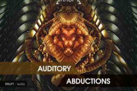 IRRUPT Audio Auditory Abductions WAV