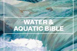Blastwave FX - Water and Aquatic Bible WAV