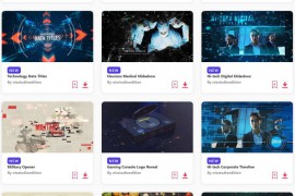 2023.5.30.229.Set.AE.Templates