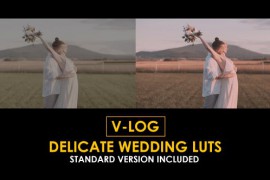V-Log Delicate Wedding and Standard LUTs 51363401