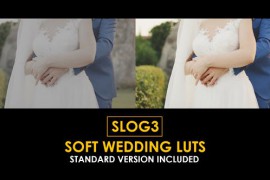 Slog3 Soft Wedding and Standard Color LUTs 51062237