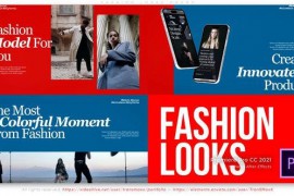 Fashion Looks Promo 51908713