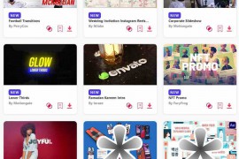 2024.3.31.7.Set.AE.Templates