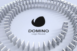 Domino Logo Reveal 50733167