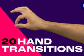 Real Hand Transitions 47833314