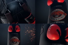 Boxing Gloves Logo Reveal 25009365