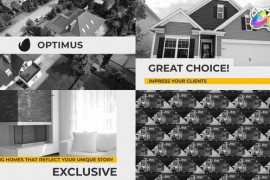 Optimus for FCPX 48755481