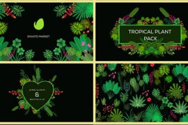 Tropical Plant Pack 20676721