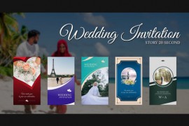 Instagram Story Wedding Invitation | MOGRTs 45819941