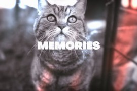Memories Looks 47621079
