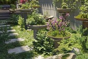 Maxtree Plant Models Vol.78