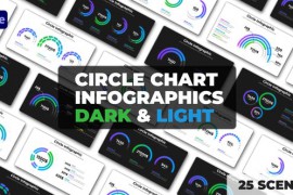 Circle Chart Infographics | Dark and Light Themes 50248206