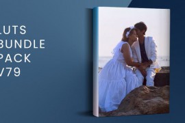 LUTs Bundle Pack V79 49481828