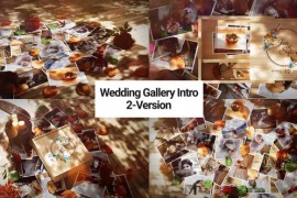 Wedding Gallery Intro 52118349