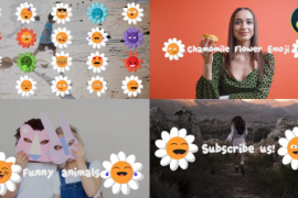 Chamomile flower emoji for DaVinci Resolve 51208084