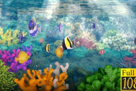 Underwater Logo 40826308