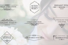Elegant Titles V2 31399164