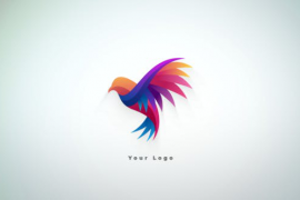 Clean Logo Animation 49576131