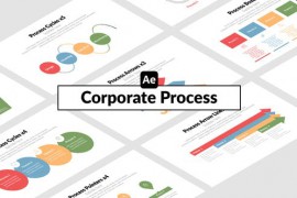 Corporate Process 51656694