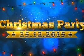 Christmas Party 13800666