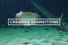 Creative Transitions 43220143