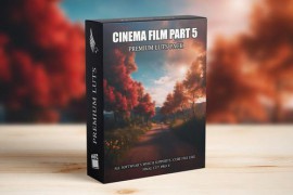 Filmic Tone LUTs Bundle - Subtle and Sophisticated Color Adjustments 50405461